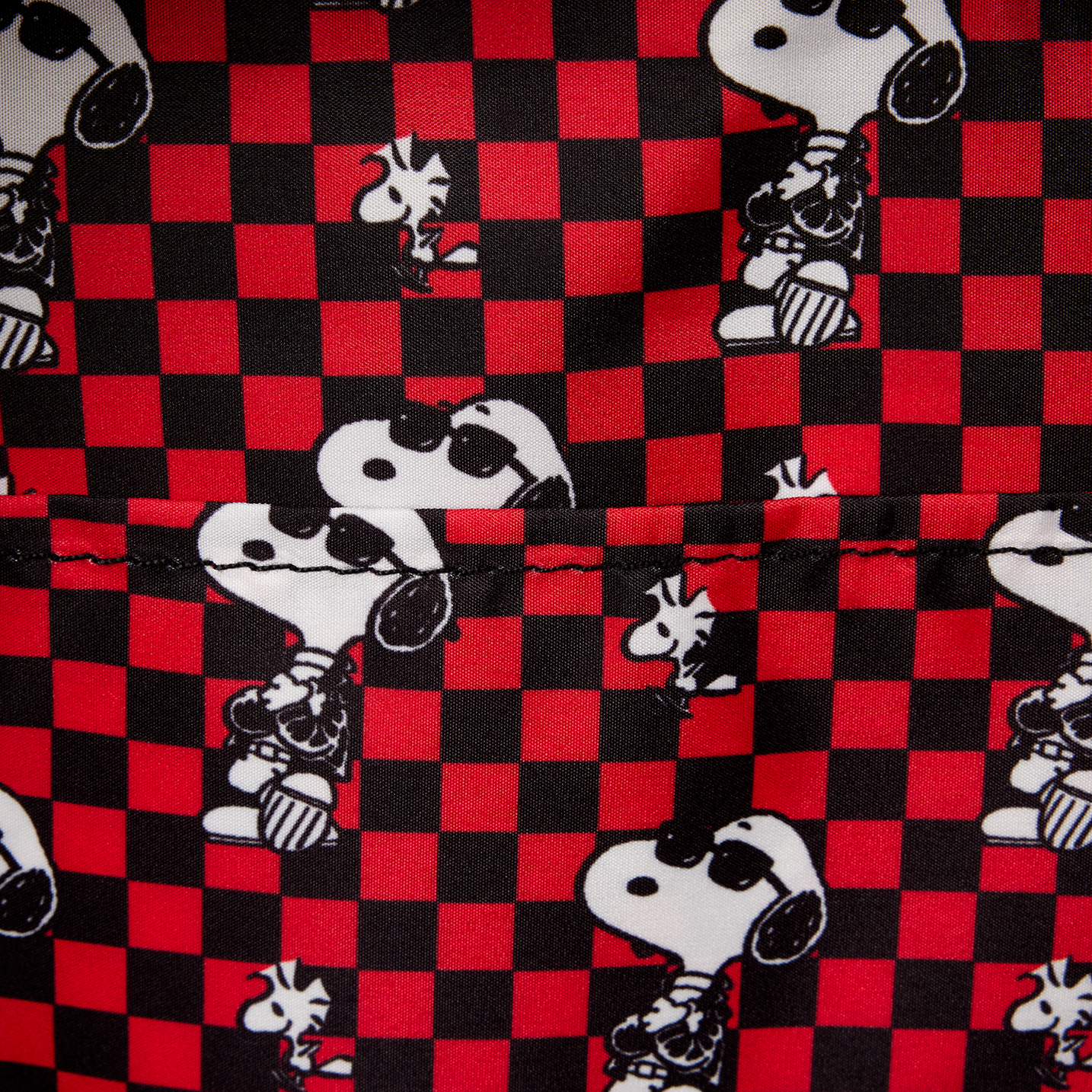 Snoopy and Woodstock Grunge Mini Backpack